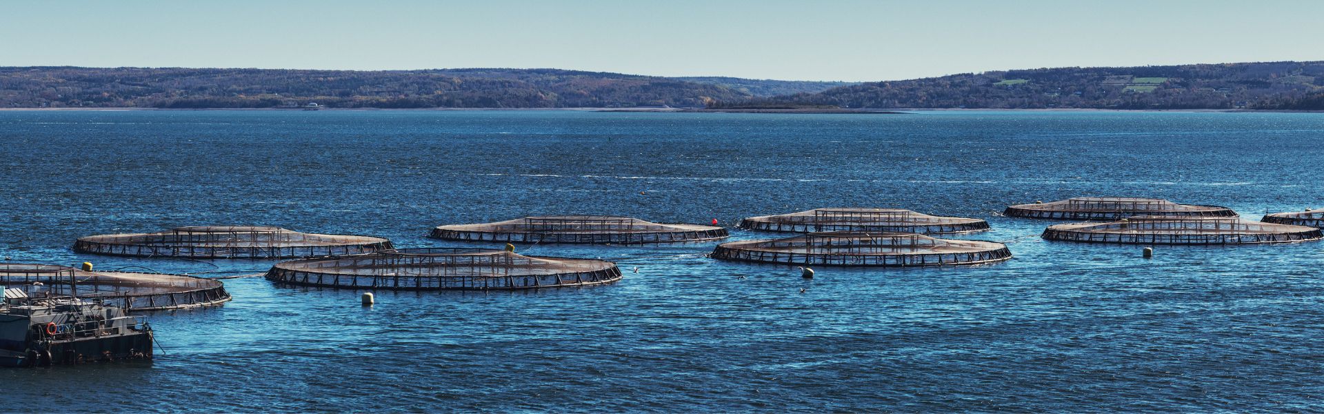 Estrutura de aquicultura com tanques de criação de tilápias